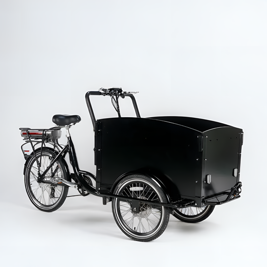 Vélo Cargo Triporteur 1 place