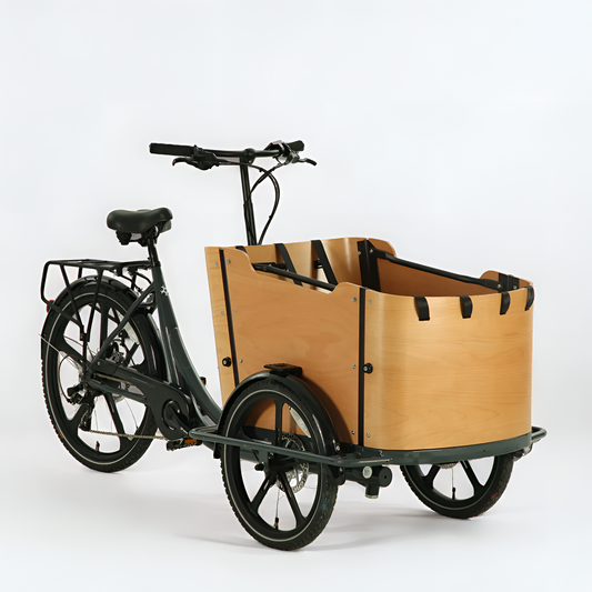 Triporteur